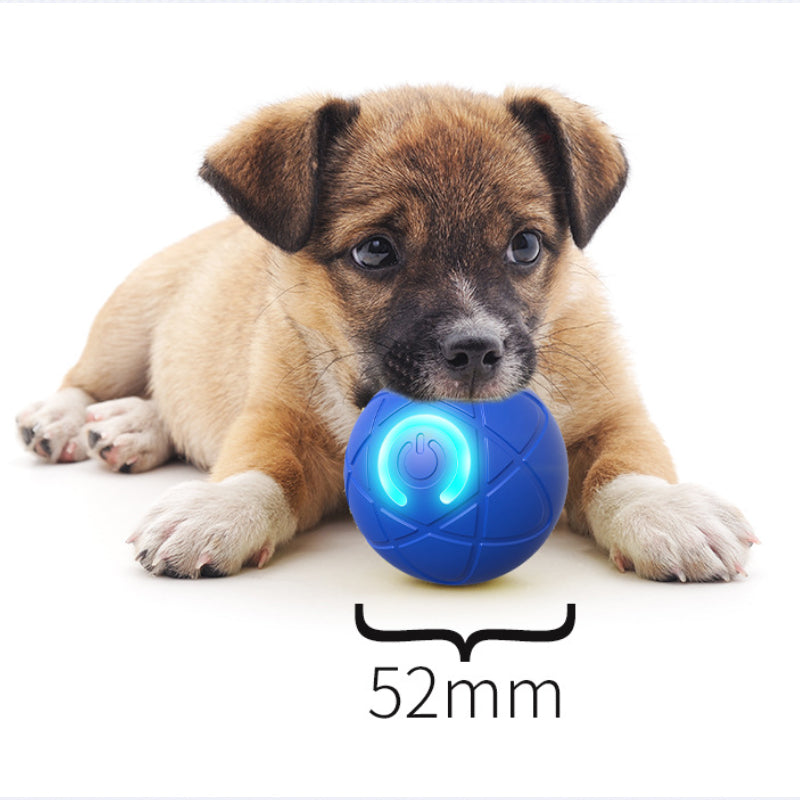 🐾 BALLE INTELLIGENTE POUR ANIMAUX DE COMPAGNIE À RÉBOND AUTOMATIQUE AVEC TÉLÉCOMMANDE — 3 modes interactifs | E-TPU résistant aux morsures | Rechargeable via USB-C 🎾