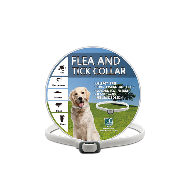 -50% Aujourd’hui 🐶🌿 Collier Anti-Insectes aux Huiles Essentielles