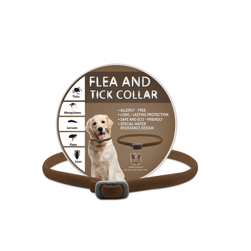 -50% Aujourd’hui 🐶🌿 Collier Anti-Insectes aux Huiles Essentielles