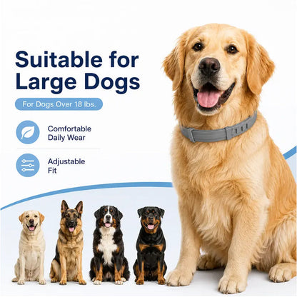 🍃50% DE RÉDUCTION ! Collier Antiparasitaire Ajustable pour Animaux – Effet Durable, Confortable à Porter 🐩🐹【Offre Limitée】