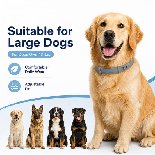 🍃50% DE RÉDUCTION ! Collier Antiparasitaire Ajustable pour Animaux – Effet Durable, Confortable à Porter 🐩🐹【Offre Limitée】