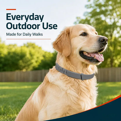🍃50% DE RÉDUCTION ! Collier Antiparasitaire Ajustable pour Animaux – Effet Durable, Confortable à Porter 🐩🐹【Offre Limitée】