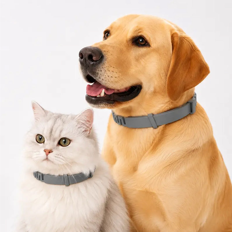 🍃50% DE RÉDUCTION ! Collier Antiparasitaire Ajustable pour Animaux – Effet Durable, Confortable à Porter 🐩🐹【Offre Limitée】
