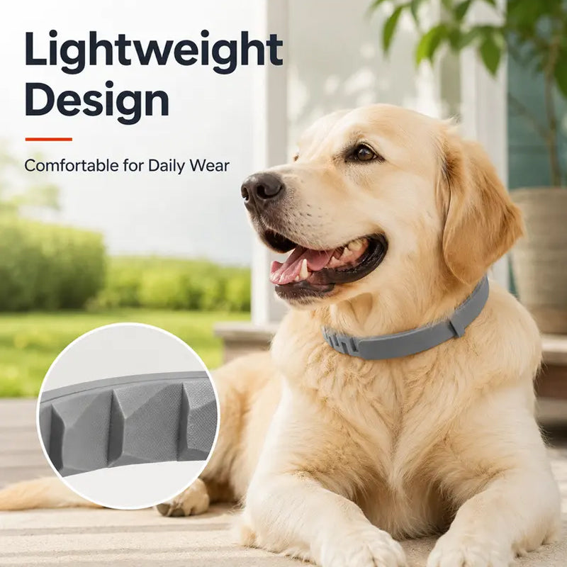 🍃50% DE RÉDUCTION ! Collier Antiparasitaire Ajustable pour Animaux – Effet Durable, Confortable à Porter 🐩🐹【Offre Limitée】