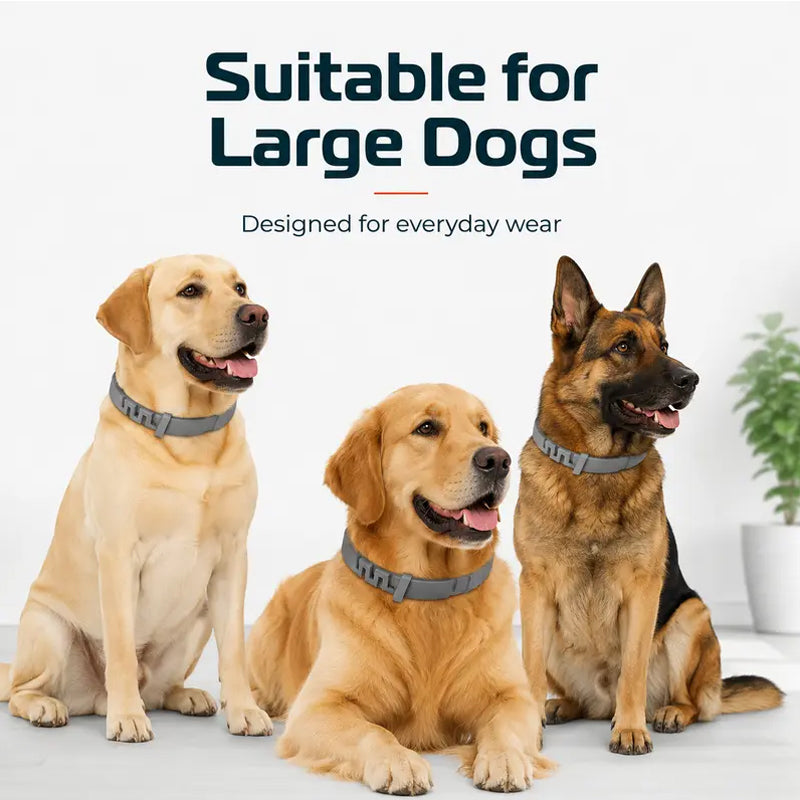 🍃50% DE RÉDUCTION ! Collier Antiparasitaire Ajustable pour Animaux – Effet Durable, Confortable à Porter 🐩🐹【Offre Limitée】