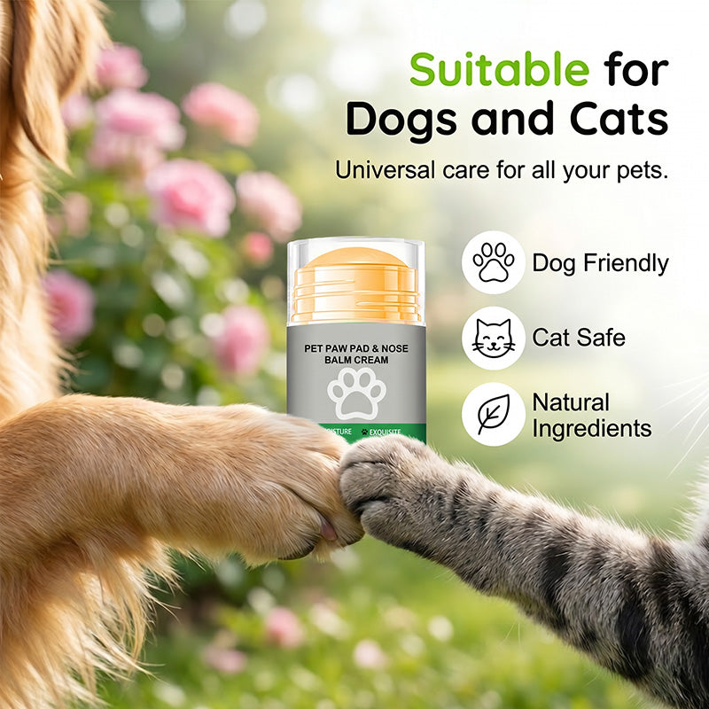 🐶 Crème hydratante pour les pattes de votre animal — un soin pratique pour rendre les pattes de votre compagnon douces et lisses