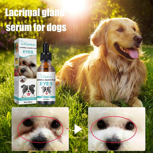 Solution nettoyante et gouttes pour les yeux des animaux de compagnie