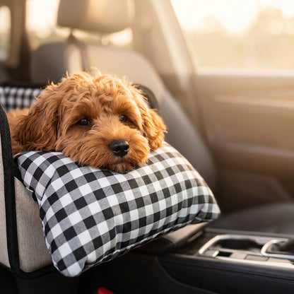 Sécurité renforcée pour voyager avec votre animal 🐱🚙💨