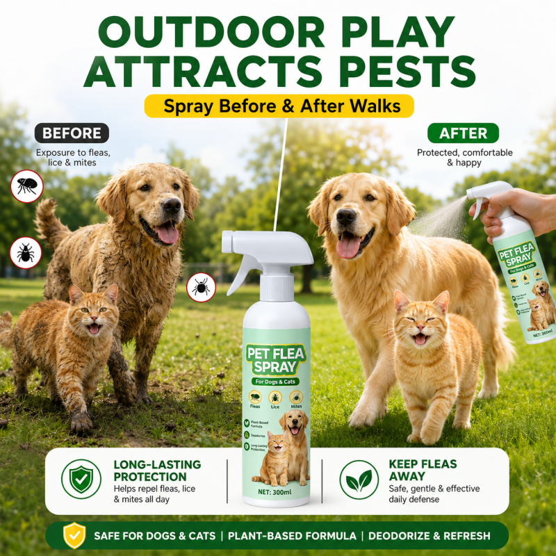 Spray anti-puces pour animaux de compagnie à base de plantes
