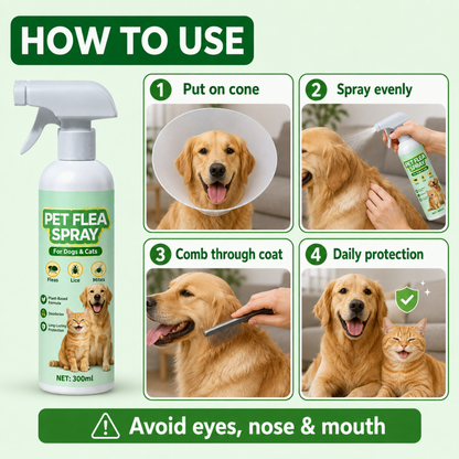 Spray anti-puces pour animaux de compagnie à base de plantes