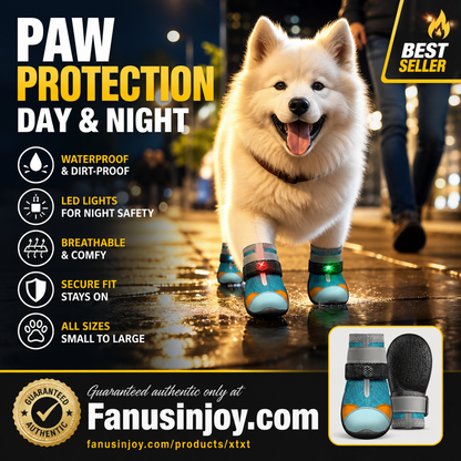 ✨️ Superbe réduction de 50 % ! 🐕 Un produit indispensable pour les propriétaires d'animaux ! 🐶