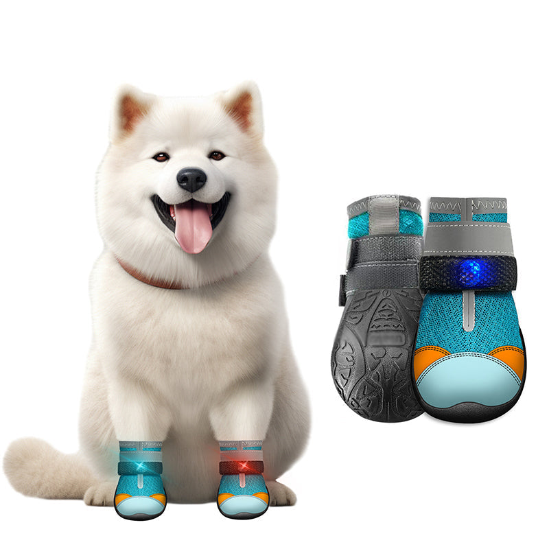 ✨️ Superbe réduction de 50 % ! 🐕 Un produit indispensable pour les propriétaires d'animaux ! 🐶