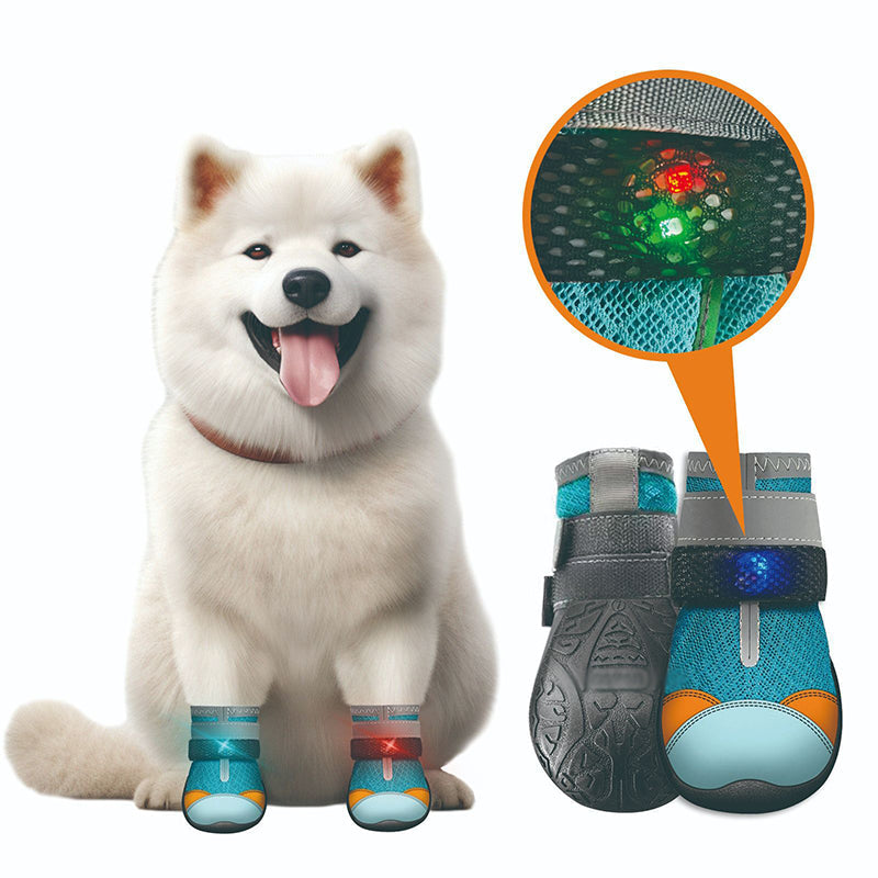 ✨️ Superbe réduction de 50 % ! 🐕 Un produit indispensable pour les propriétaires d'animaux ! 🐶