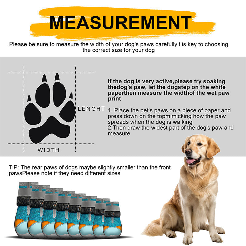 ✨️ Superbe réduction de 50 % ! 🐕 Un produit indispensable pour les propriétaires d'animaux ! 🐶