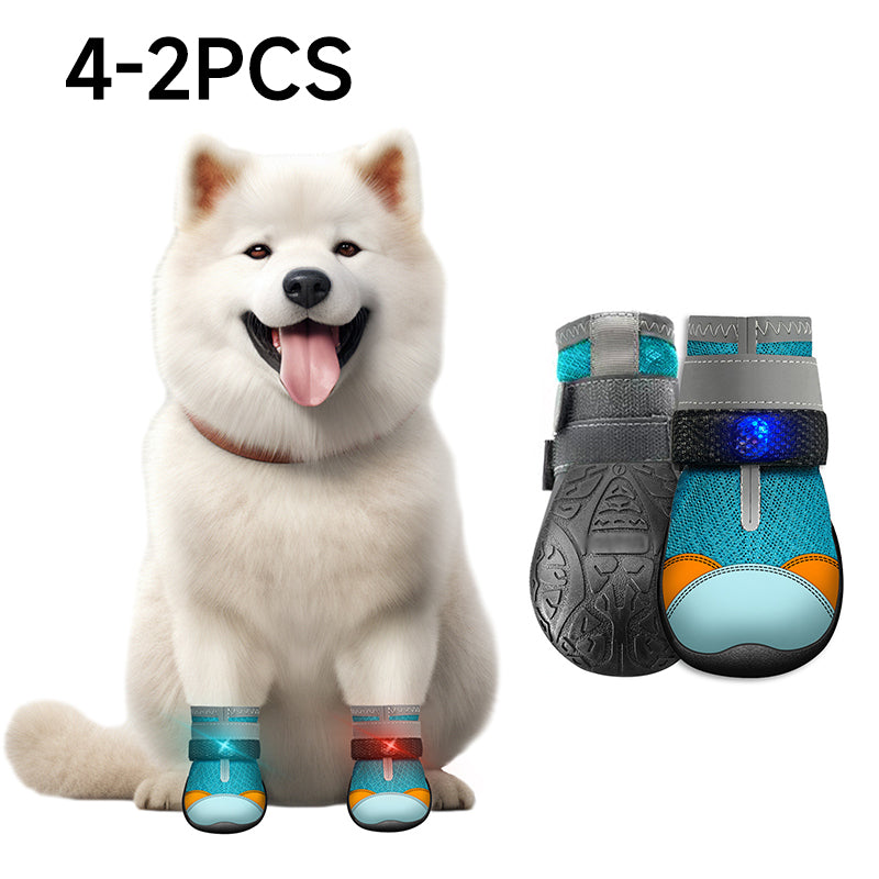 ✨️ Superbe réduction de 50 % ! 🐕 Un produit indispensable pour les propriétaires d'animaux ! 🐶