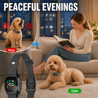 🏆 50 % DE RÉDUCTION EN CE MOMENT ! 🐶 Collier anti‑aboiement intelligent pour chiens 🛡️ Réglable, sans douleur, contrôle efficace des aboiements ⚡