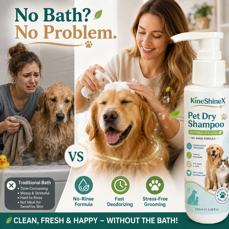 Mousse de shampoing sans rinçage pour animaux