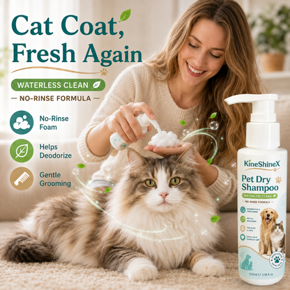 Mousse de shampoing sans rinçage pour animaux