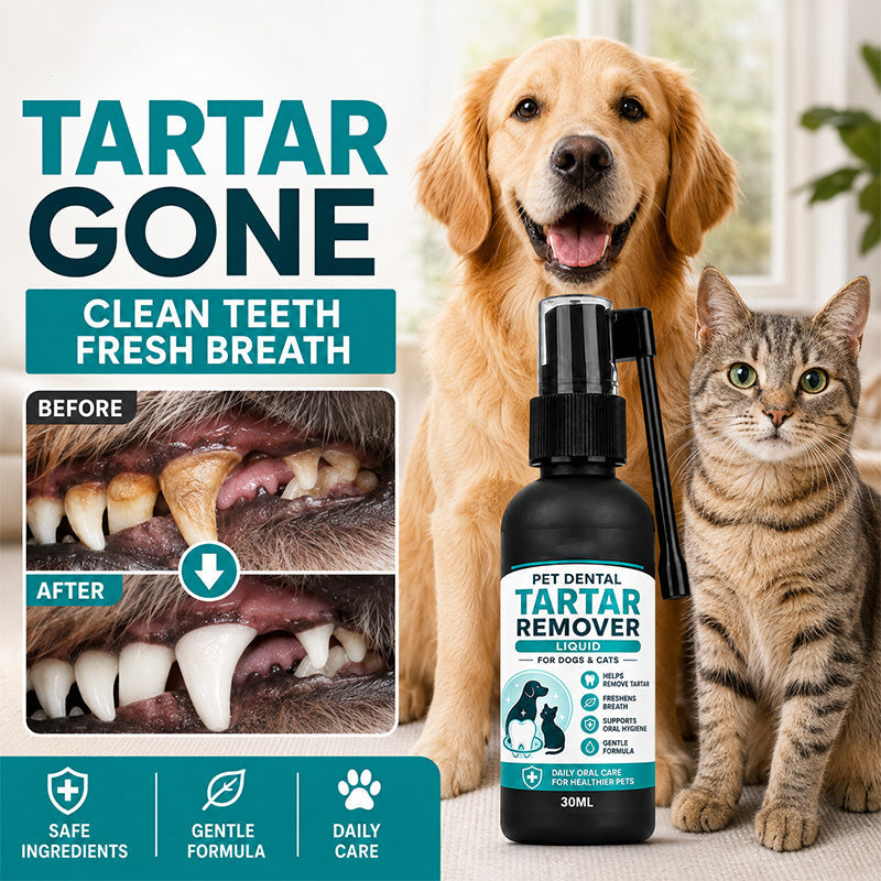 🐾 50 % DE RÉDUCTION MAINTENANT ! Spray dentaire doux pour animaux – Formulé par des vétérinaires pour éliminer le tartre chez les chiens et les chats, une solution de soin buccal sûre pour éliminer la mauvaise haleine et réduire la plaque dentaire.