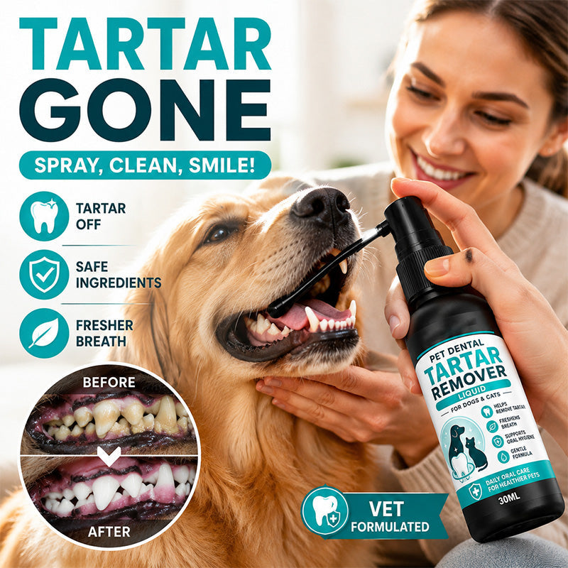 🐾 50 % DE RÉDUCTION MAINTENANT ! Spray dentaire doux pour animaux – Formulé par des vétérinaires pour éliminer le tartre chez les chiens et les chats, une solution de soin buccal sûre pour éliminer la mauvaise haleine et réduire la plaque dentaire.