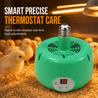 🔥50% DE RÉDUCTION !🐣 Chauffage intelligent couveuse, régulation précise de température, stable et sécurisé pour œufs ✨