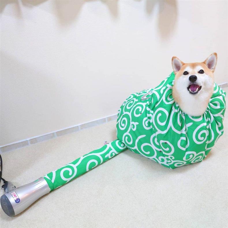 📢📢50 % DE RÉDUCTION !! ⏰ Sac de séchage pour chiens et chats
