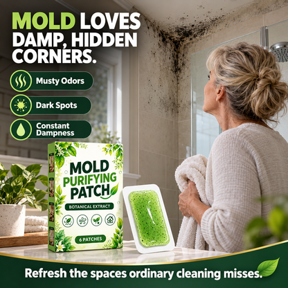 6 patchs anti-moisissure pour murs domestiques, cuisine et salle de bain – lingettes purifiantes contre le mildiou