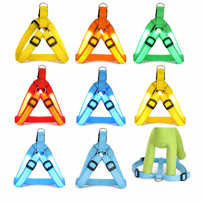 🥳 VENTE FLASH 2026 💞 50 000+ VENDUS ! ✨ Harnais pour chien LED réglable, lumineux et clignotant – Sangle de poitrine pour animal