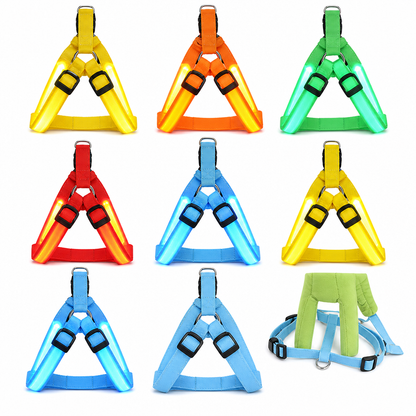 🥳 VENTE FLASH 2026 💞 50 000+ VENDUS ! ✨ Harnais pour chien LED réglable, lumineux et clignotant – Sangle de poitrine pour animal