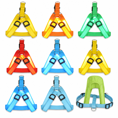 🥳 VENTE FLASH 2026 💞 50 000+ VENDUS ! ✨ Harnais pour chien LED réglable, lumineux et clignotant – Sangle de poitrine pour animal
