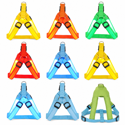 🥳 VENTE FLASH 2026 💞 50 000+ VENDUS ! ✨ Harnais pour chien LED réglable, lumineux et clignotant – Sangle de poitrine pour animal